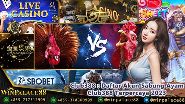 Club388 : Daftar Akun Sabung Ayam Club388 Terpercaya 2023